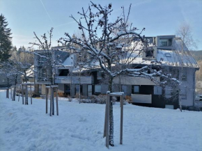 Apartman Sofie Harrachov, Harrachov